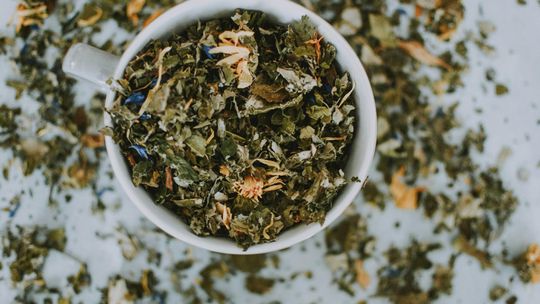 Bylica roczna – właściwości, zastosowanie i praktyczne wskazówki stosowania