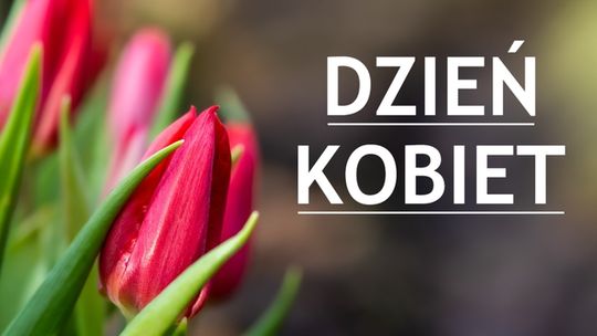 Coraz więcej kobiet w samorządach