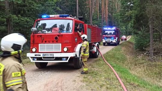 Ćwiczenia strażaków na terenie Nadleśnictwa Gostynin w Budach Lucieńskich [FOTO]