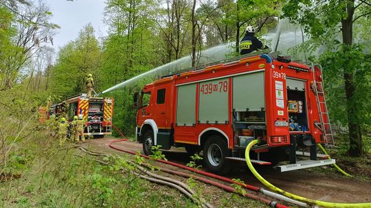 Ćwiczenia z zakresu gaszenia pożarów lasów