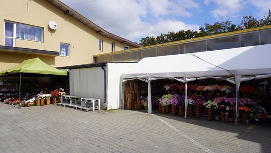 Duży wybór zniczy i kwiatów w atrakcyjnych cenach – zaprasza Dawny Sklep Smyk