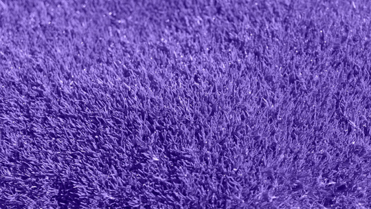 Dywany belgijskie – elegancja i jakość w Twoim salonie