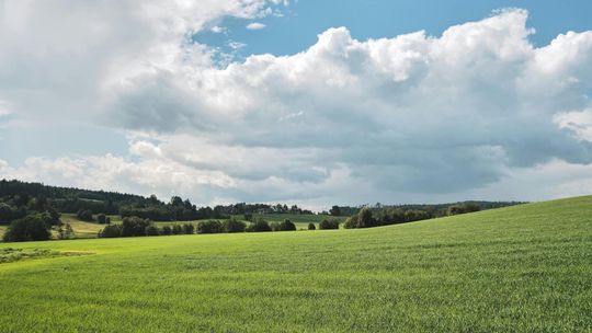 Działka pod budowę domu - jak sprawdzić, czy to dobry wybór?