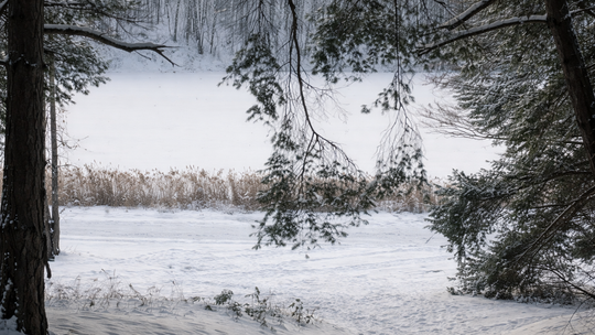 Dziś ferie zimowe zaczynają uczniowie z ościennych województw