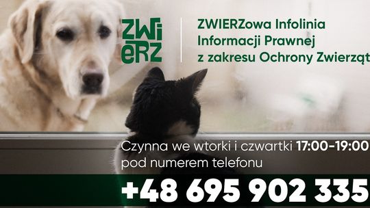 Fundacja ZWIERZ prowadzi ZWIERZową Infolinię Bezpłatnej Informacji Prawnej z Zakresu Ochrony Zwierząt