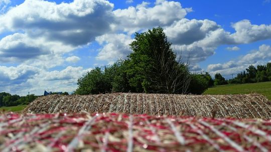 Gostynińskie Termy zachwycają... pięknem natury