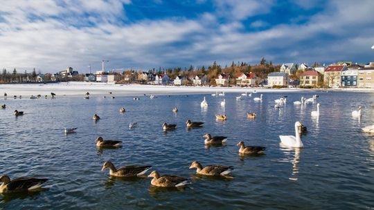 Islandia przed wyjazdem – wszystko, co warto wiedzieć, zanim wyruszysz w podróż życia