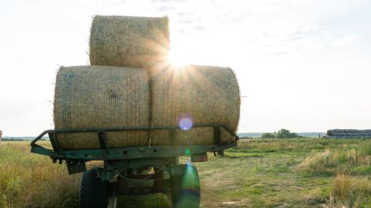 Jakie wagi przydadzą się w rolnictwie?