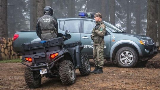 Jedziesz autem na grzyby? Uważaj, w lasach ruszają kontrole