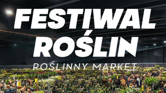 Jesienna edycja Festiwalu Roślin w Kutnie