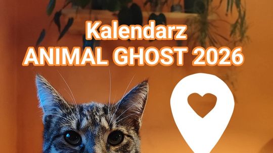 Kalendarz Animal Ghost 2026