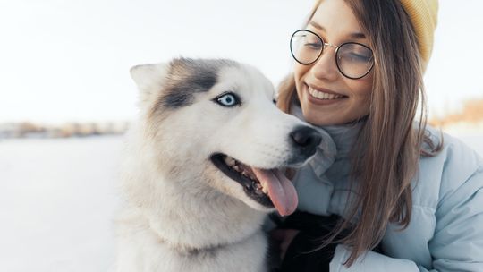 Karmy dla psów - Twojemu czworonogowi tylko premium! | BazarPupila.pl