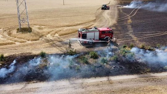 Kilkanaście zastępów straży pożarnej gasiło pożar zboża na pniu w Sannikach