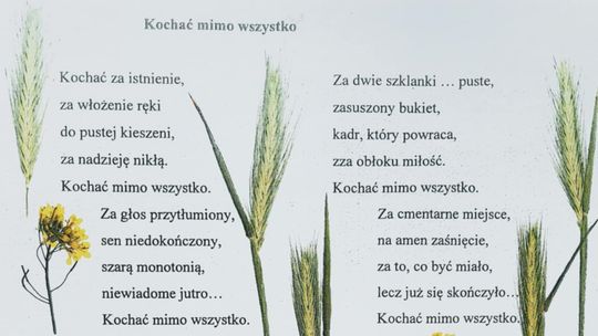 Kochać mimo wszystko