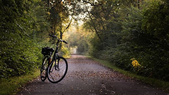 Pijany rowerzysta w Kowalu