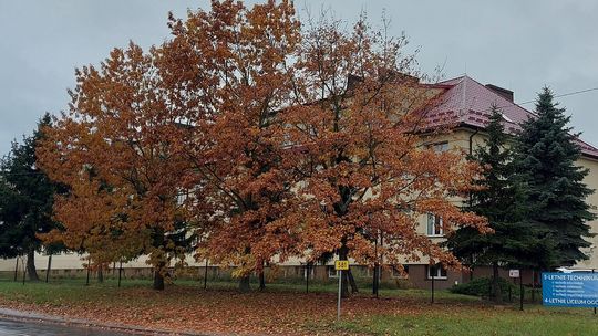 Małe zainteresowanie technikiem ekonomistą w Zespole Szkół