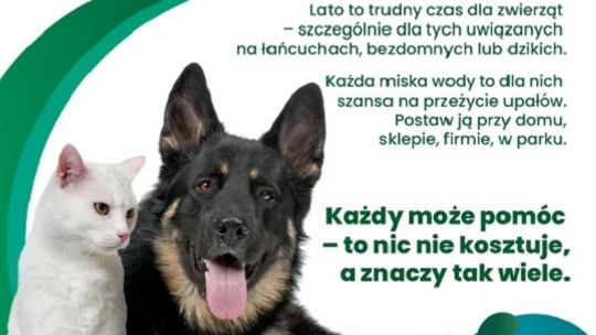 Mały gest, wielka moc