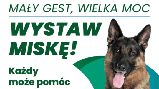 Mały gest, wielka moc – wystaw miskę. Pomóżmy zwierzętom przetrwać upały