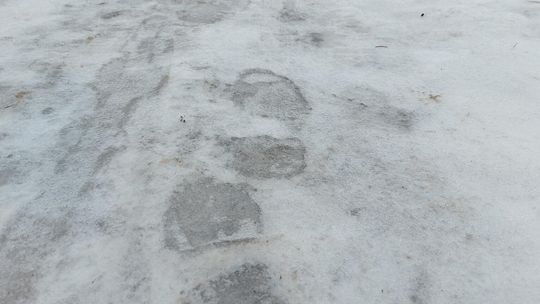 Mamy gołoledź, a dojdzie jeszcze gęsta mgła Mamy gołoledź, a dojdzie jeszcze gęsta mgła