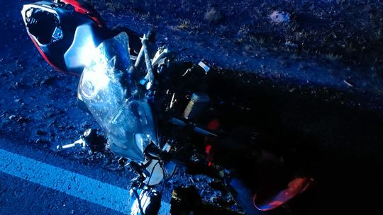 Motocyklistka zginęła po zderzeniu z łosiem