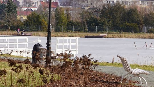 Mroźna zima nie zrobiła krzywdy kleszczom i komarom Mroźna zima nie zrobiła krzywdy kleszczom i komarom