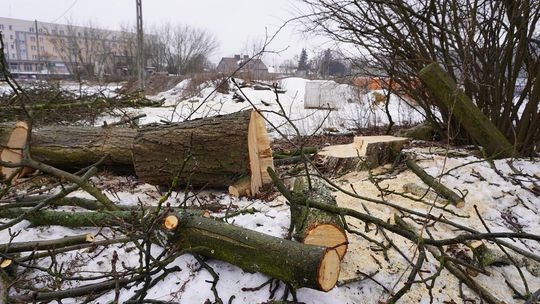 Na Hajmatach planowana jest budowa galerii handlowej. Społeczność lokalna skierowała formalny sprzeciw Na Hajmatach planowana jest budowa galerii handlowej. Społeczność lokalna skierowała formalny sprzeciw