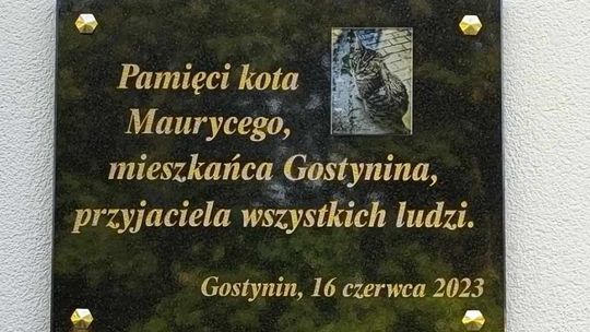 Na Polnej zawisła tablica dla kota Maurycego