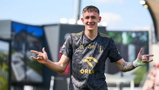 Nafciarze ustrzelili Słoniki