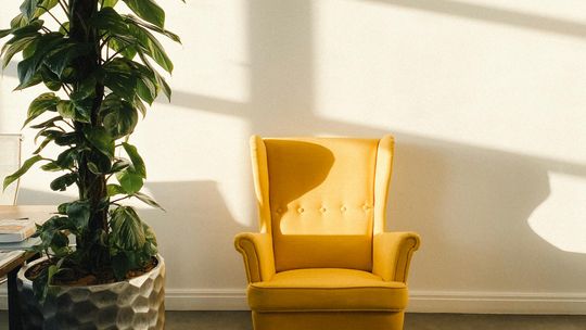 Paliki kokosowe do kwiatów – naturalne wsparcie dla roślin pnących