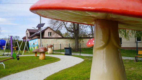 Park Grzybów w Gostyninie oficjalnie otwarty