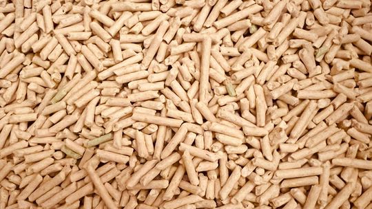 Pellet — co wpływa na jego cenę?