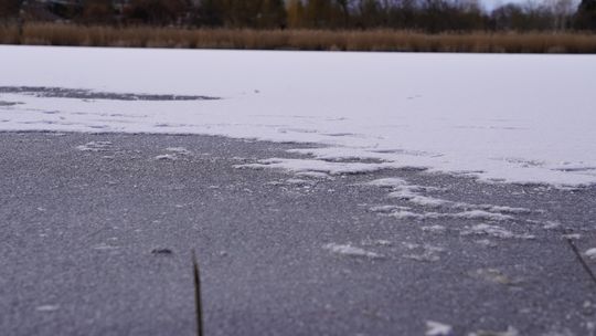 Pies utonął w jeziorze Kocioł