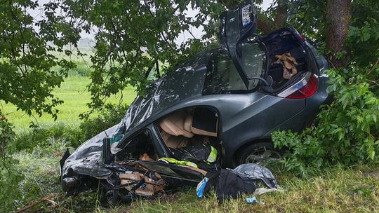 Płock: BMW uderzyło w drzewo. Kierowca walczy o życie