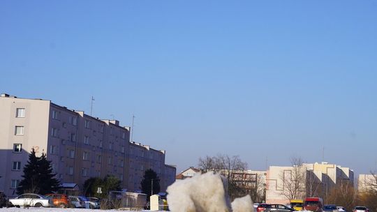 Pogodowa huśtawka Pogodowa huśtawka