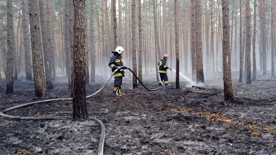 fot. OSP Szczawin Kościelny