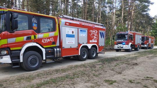 Pożar poszycia leśnego w Modrzewiu