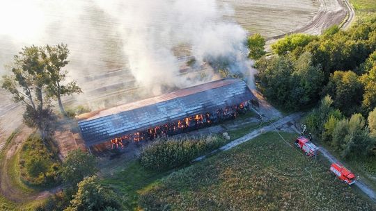 Prezes OSP Łąck dziękuje druhom za akcję gaszenia pożaru słomy i siana w Stadzie Ogierów w Łącku