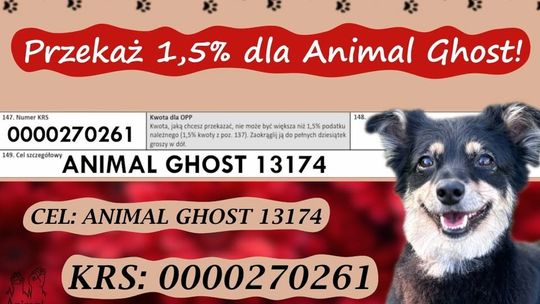 Przekaż 1,5 procent dla Animal Ghost