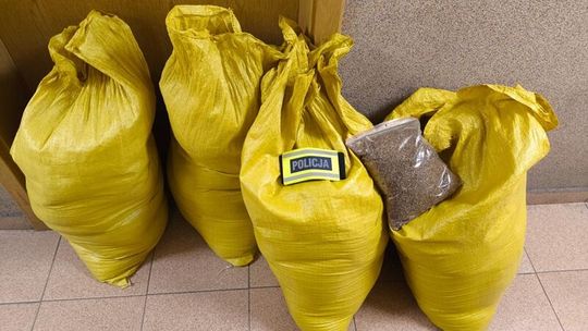 Przewoził nielegalny tytoń