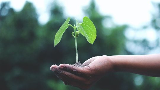 Recycling e-odpadów, czyli nowe technologie przyjazne środowisku