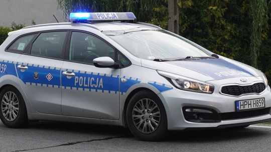 Sarna wbiegła pod samochód. Apel do kierowców po kolejnym zdarzeniu na drodze