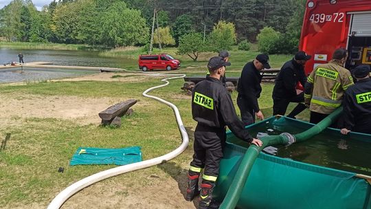 Strażacy ćwiczyli na terenie kompleksu leśnego Dybanka