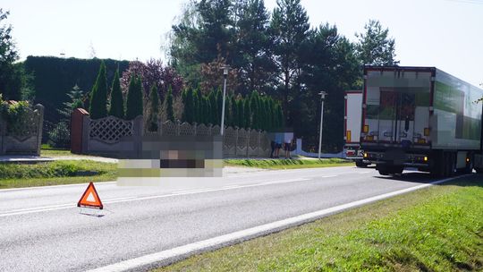 W Sierakówku ciężarówka potrąciła śmiertelnie konia, zablokowany jeden pas jezdni