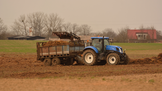 Wapnowanie — co warto wiedzieć