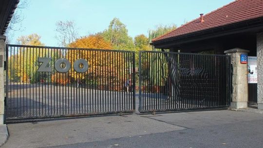 Warszawskie ZOO – dzika przygoda w sercu stolicy