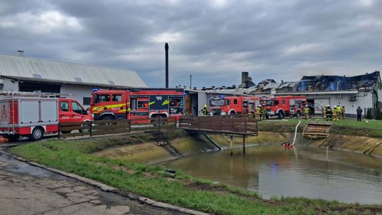 Wielki pożar hali pod Kowalem. Ponad 100 strażaków walczyło z ogniem