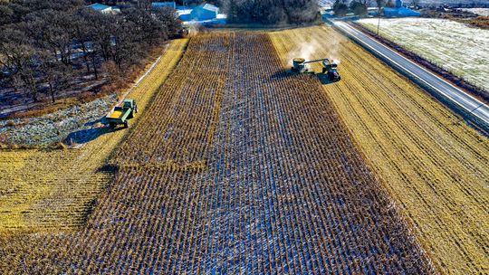 Wing P 462 – Nowoczesny herbicyd selektywny dla rolnictwa