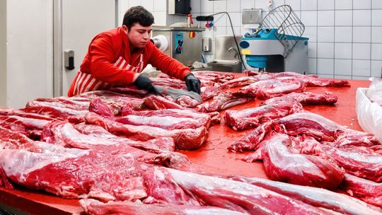 Kontrolerzy sprawdzili, skąd pochodzi mięso w sklepach