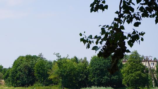 Zapowiada się burzowa noc. Ostrzeżenie meteorologiczne IMGW