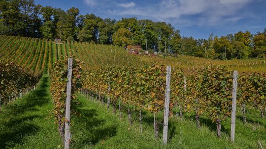 Zimowa odyseja w sercu Dolomitów – Jak zaplanować urlop, który odmieni Twoje spojrzenie na góry?